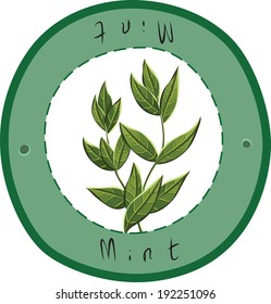Green mint sprigs. Mint. Vector illustration