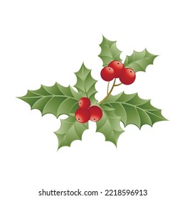 Green mistletoe on white background