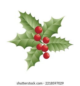 Green mistletoe on white background