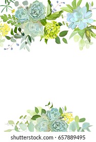 Green mix of hydrangea, succulents, echeveria, eucalyptus, wildflowers, herbs and plants vector design floral frame. Wild rustic wedding flowers. All elements are isolated and editable.