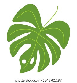 Green modern monstera leaf vector element