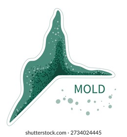 Green mold buildup in damp room corner. Black fungus spores growth in humid environment vector illustration.