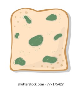 Green mold on bread vector isolated on white background. 