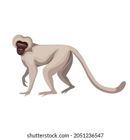 Green monkey, inhabitant of West Africa. Cartoon vector graphics.