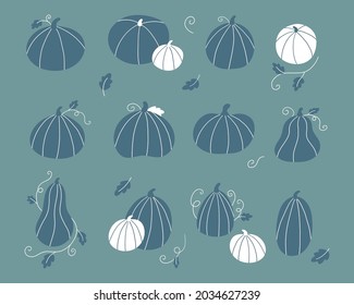 Green monochrome stylized pumpkin set. Hand drawn doodle vegetable for Halloween and Thanksgiving celebration. Vector illustration.