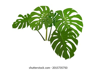 観葉植物 のイラスト素材 画像 ベクター画像 Shutterstock