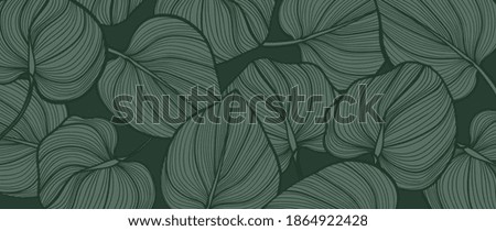 Similar – Image, Stock Photo Background withMonstera leaves on a light green background