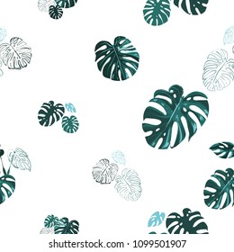 Green monstera foliage pattern. Seamless background with tropic floral elements on white backdrop. Summer print with green tropical leaves of monstera and other palms.