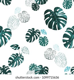 Green monstera foliage pattern. Seamless background with tropic floral elements on white backdrop. Summer print with green tropical leaves of monstera and other palms.