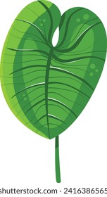 Grünes Monsterablatt mit Wassertropfen. Detailliertes tropisches Pflanzendesign für botanische Themen, Vektorgrafik.