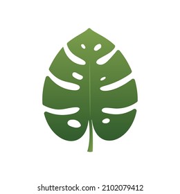 Green Monstera leaf element, Vector, Illustration.