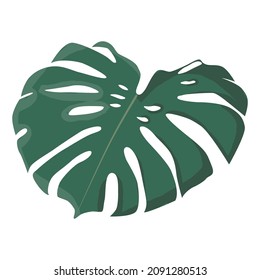 Green monstera leaf flat design sticker. Icon illustration isolated on white background 