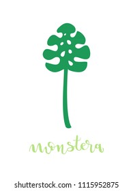 Green monstera leaf and lettering. Vector illustration, hand drawn style