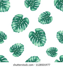 green monstera leaf pattern on white background in vector