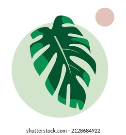 green monstera leaf with a simple background. eps file