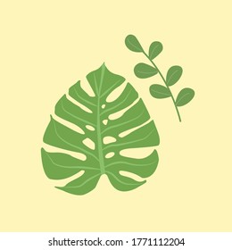 Green Monstera leaf and twigs with leaves on a yellow background for wallpaper for the home, paintings, textures, background, advertising, decor, poster. Vector illustration of green leaves.