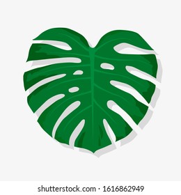 Green monstera leaf vector illustration. Collection of tropical leaves, print for logo, clothes, cloth, textile, swimwear, fabric,fashion, wrapping paper. Cute bright and fun summer background.