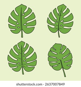 Green Monstera Leaf Vector Set with Exotic Tropical Strokes and Botanical Elements for Design Projects
