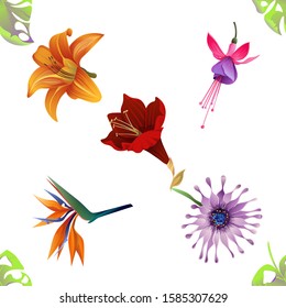 Green Monstera. Orange Daylily. Pink and Purple Fuchsia Bella. Orange Strelitzia Reginae. Purple Osteospermum Daisybush. Purple Amaryllis. Vector illustration. Seamless background pattern. Floral.