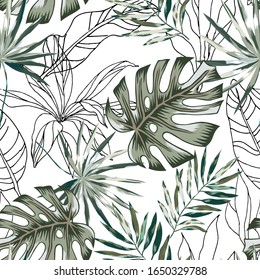 Green monstera, outline palm leaves, white background. Vector seamless pattern. Tropical jungle foliage illustration. Exotic plants greenery. Summer beach floral design. Paradise nature graphic