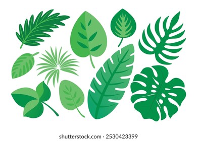 Monstera verde, palma, hojas fijadas Ilustración vectorial plana fondo blanco