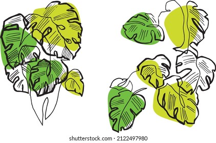 green monstera plant. set of tropical leaves illustration. hand drawn botanical art. one line drawn leaf design.