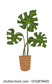 Green monstera in a pot in flat style on a white background isolated. Household indoor plant, interior decoration, tropical plant.