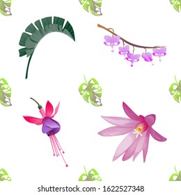 Green Monstera. Purple Hatiora. Green Palm Leaf. Purple Komakusa. Pink and Purple Fuchsia Bella. Vector illustration. Seamless background pattern. Floral botanical flower. Wild leaf wildflower.