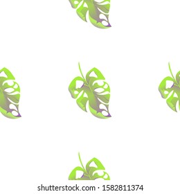 Green Monstera. Vector illustration. Seamless background pattern. Floral botanical flower. Wild leaf wildflower isolated. Exotic tropical hawaiian jungle. Fabric wallpaper print texture.