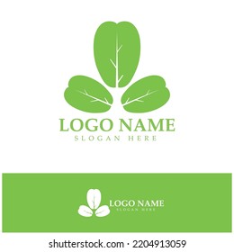 grünes Moringa-Blatt-Logo für pflanzliche Inhaltsstoffe, Moringa-Landwirtschaft, Gesundheit, Medizinindustrie, Schönheit, Therapie, Konzept-Design, Vektorgrafik-Symbol-Vorlage mit modernem Konzept