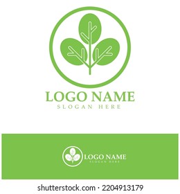green moringa leaf logo, for herbal ingredients, moringa farming, health, medicine industry, beauty, therapy, concept design vector illustration icon template with a modern concept