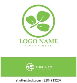 logotipo de hoja de moringa verde, para ingredientes de hierbas, cultivo de moringa, salud, industria de la medicina, belleza, terapia, diseño de concepto ilustración vectorial plantilla de icono con concepto moderno