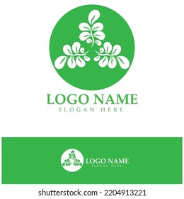 green moringa leaf logo, for herbal ingredients, moringa farming, health, medicine industry, beauty, therapy, concept design vector illustration icon template with a modern concept