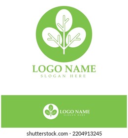 green moringa leaf logo, for herbal ingredients, moringa farming, health, medicine industry, beauty, therapy, concept design vector illustration icon template with a modern concept