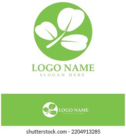 green moringa leaf logo, for herbal ingredients, moringa farming, health, medicine industry, beauty, therapy, concept design vector illustration icon template with a modern concept