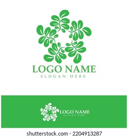 green moringa leaf logo, for herbal ingredients, moringa farming, health, medicine industry, beauty, therapy, concept design vector illustration icon template with a modern concept