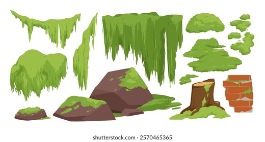 Green moss and lichen set. Swamp plant and liana hanging on forest tree branch, grass and oakmoss growth on brown stump and brick wall, mossy rocks and stones collection cartoon vector illustration