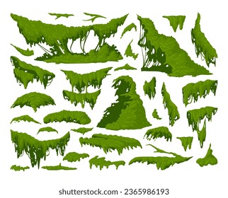 Green moss plants. Cartoon jungle moss hanging and creeping, lichen and moss flat vector illustration set. Tropical rainy forest flora collection