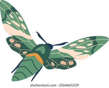 Green moth flying bug vector illustration