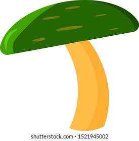 Green mushroom, illustration, vector on white background.