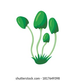 
Green mushrooms, toadstools, inedible, vector illustration