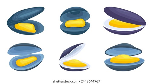 Green mussels illustration vector bundle. Green mussels vector cartoon set icon. Vector illustration icon Green mussels on white background. Green mussels illustration vector bundle