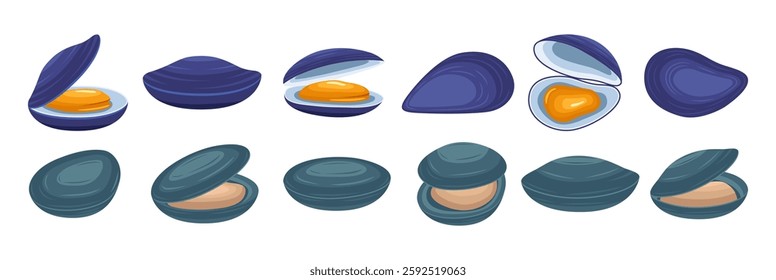 Green mussels illustration vector bundle. Green mussels vector cartoon set icon. Vector illustration icon Green mussels on white background. Green mussels illustration vector bundle