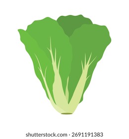 Elementos de dibujos animados vegetales de mostaza verde