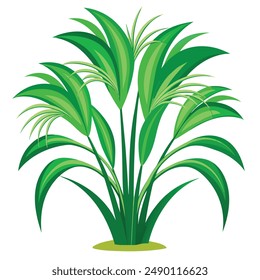 Green Napier grass vector illustration editable project.