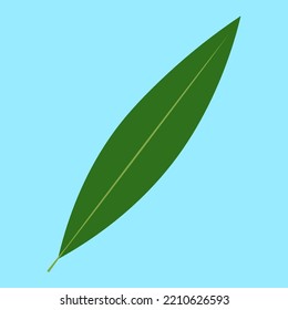 green narrow leaf on blue background