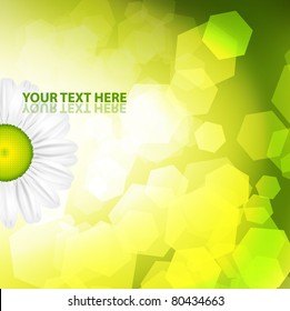 Green natural abstract background with daisy flower