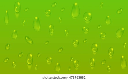 Green natural background with water drops. Fresh dew vector illustration