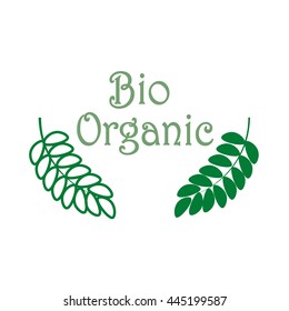 Green natural Bio Organic sign pattern on white background. Fashion graphic design. Modern spring and summer stylish abstract texture. Template for prints, decoration. Vector illustration.