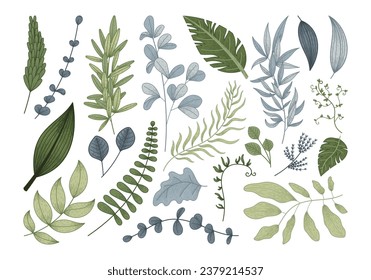 Green natural flat twigs with leaves. Set of vector isolated plants tropical branches, sketch style.